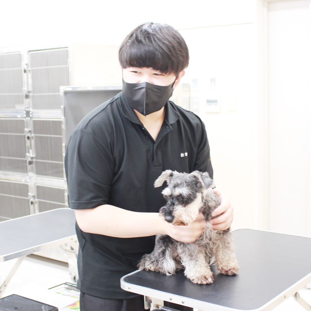 トリマー科2年生の看護実習